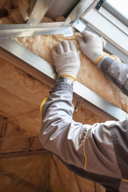 Trusted Pinckney, MI Insulation Contractor Experts
