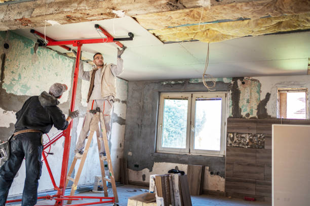 Best Wall Insulation Contractor  in Pinckney, MI