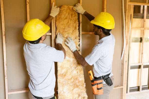 Best Insulation Contractors for Homes  in Pinckney, MI